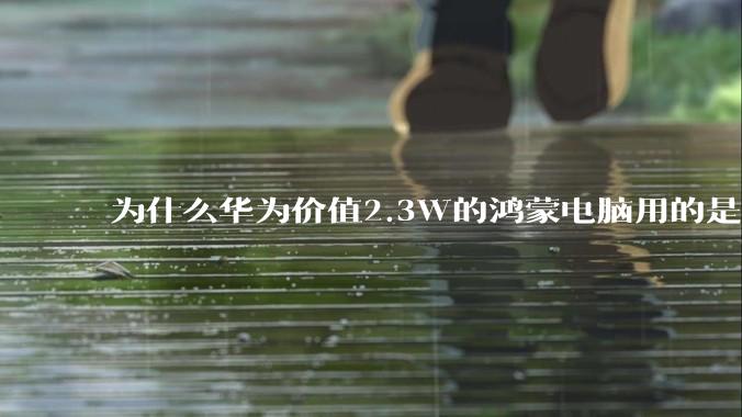 为什么华为价值2.3W的鸿蒙电脑用的是美国西数的SN740固态硬盘？