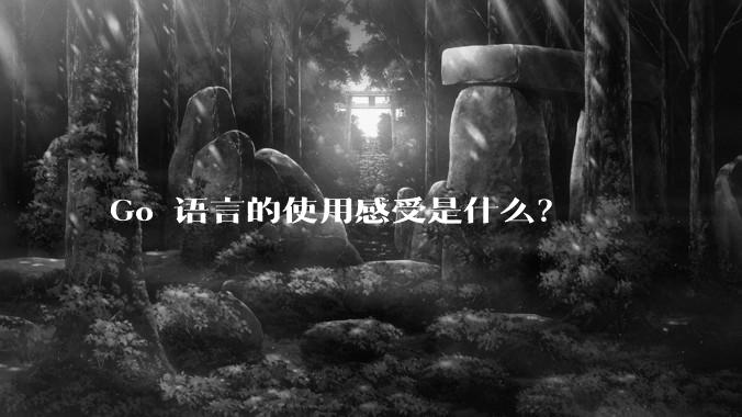 Go 语言的使用感受是什么？