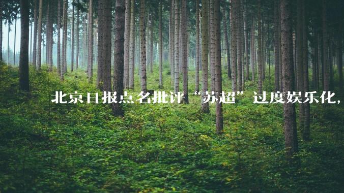 北京日报点名批评“苏超”过度娱乐化，它是否管的太宽了？为什么无良媒体不会被查封取缔？