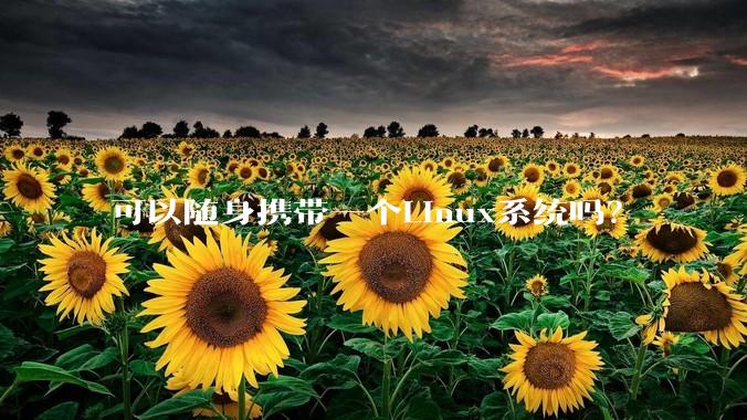 可以随身携带一个Linux系统吗？