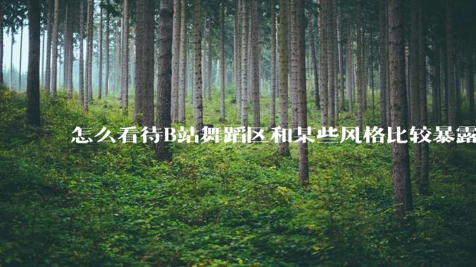 怎么看待B站舞蹈区和某些风格比较暴露的up？