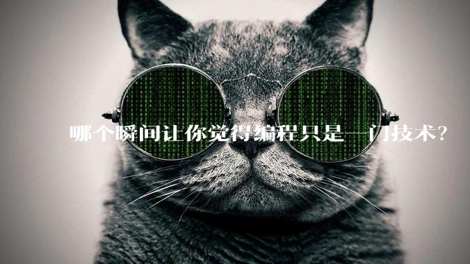 哪个瞬间让你觉得编程只是一门技术？